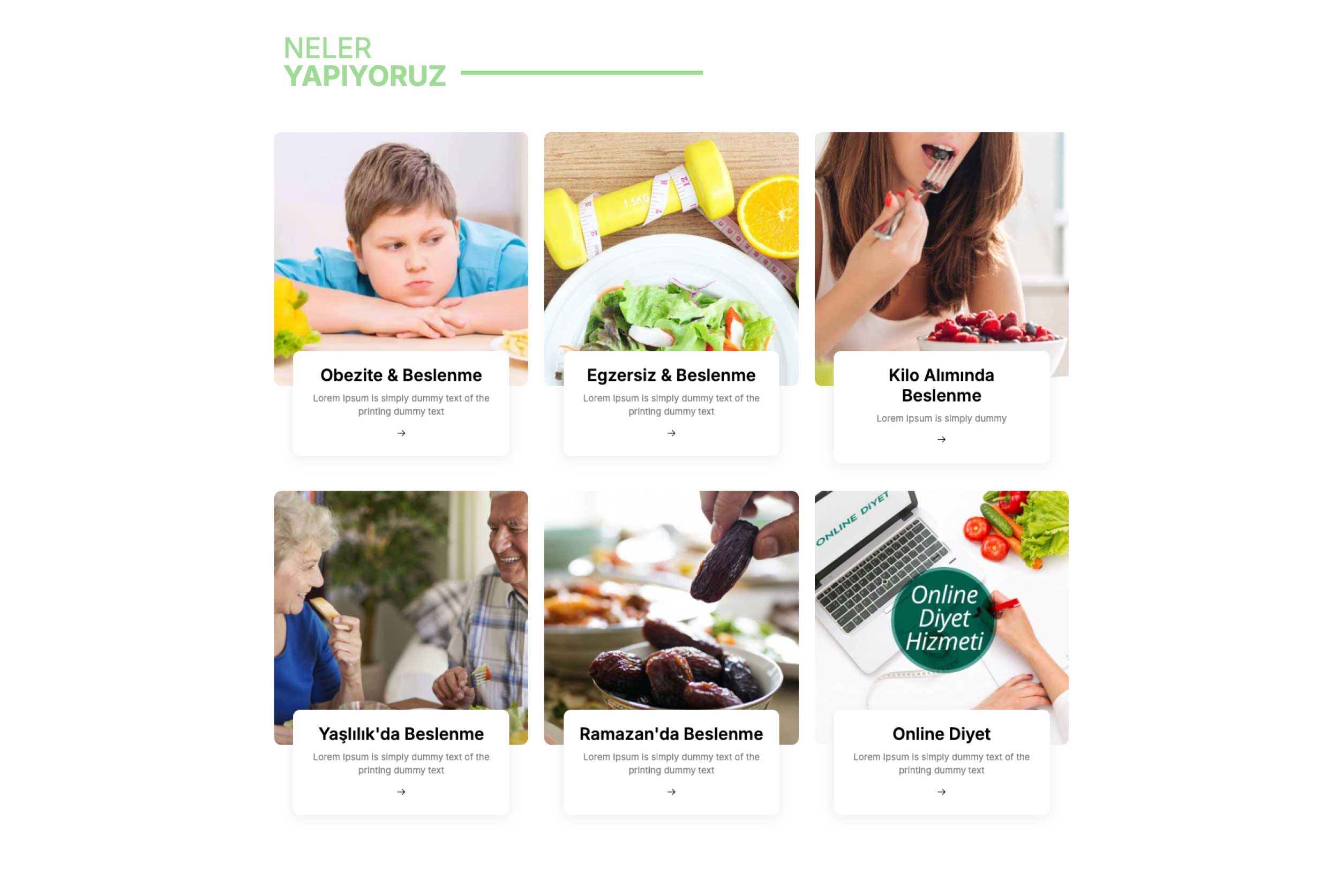 Diyetisyen İnternet Sitesi DDV1