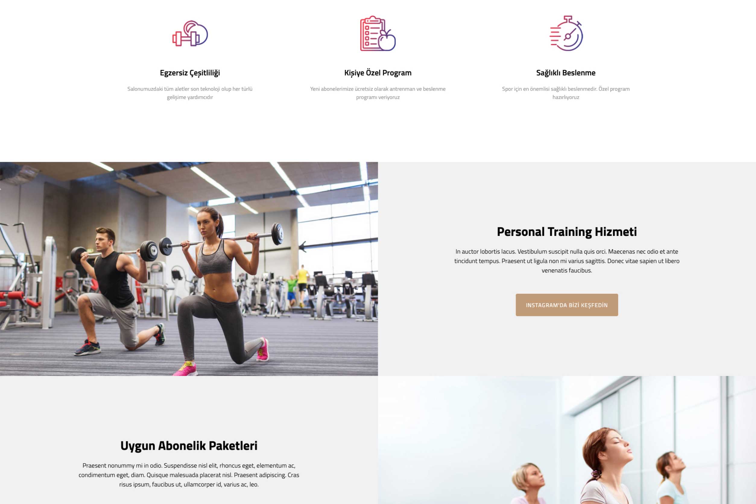 Spor Salonu İnternet Sitesi DDV2