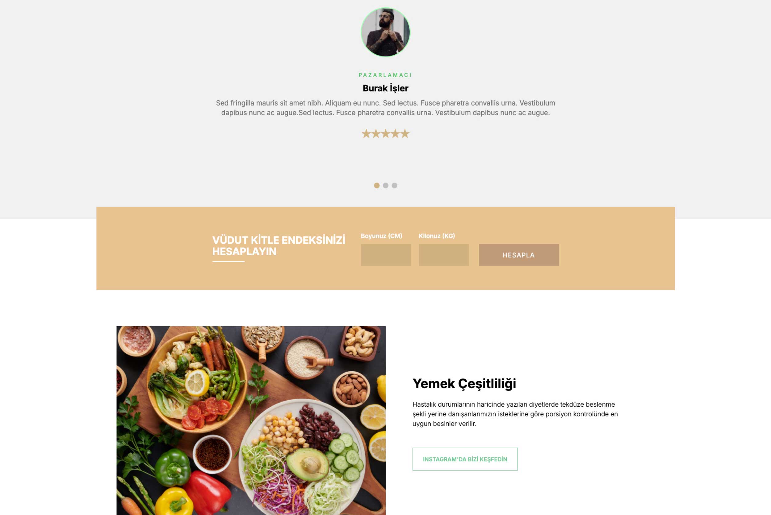 Diyetisyen İnternet Sitesi DDV1