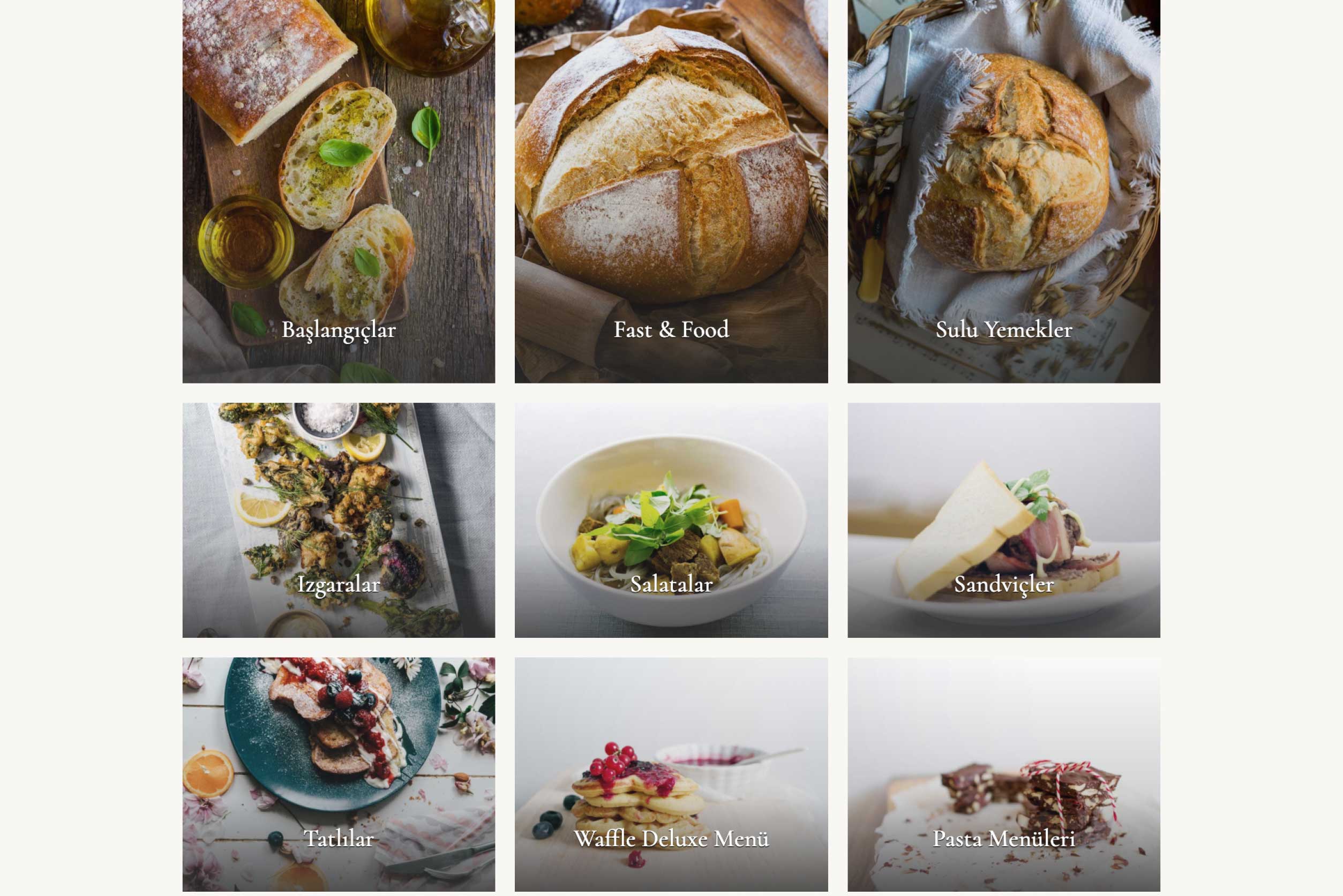 Restoran & Cafe İnternet Sitesi DDV2