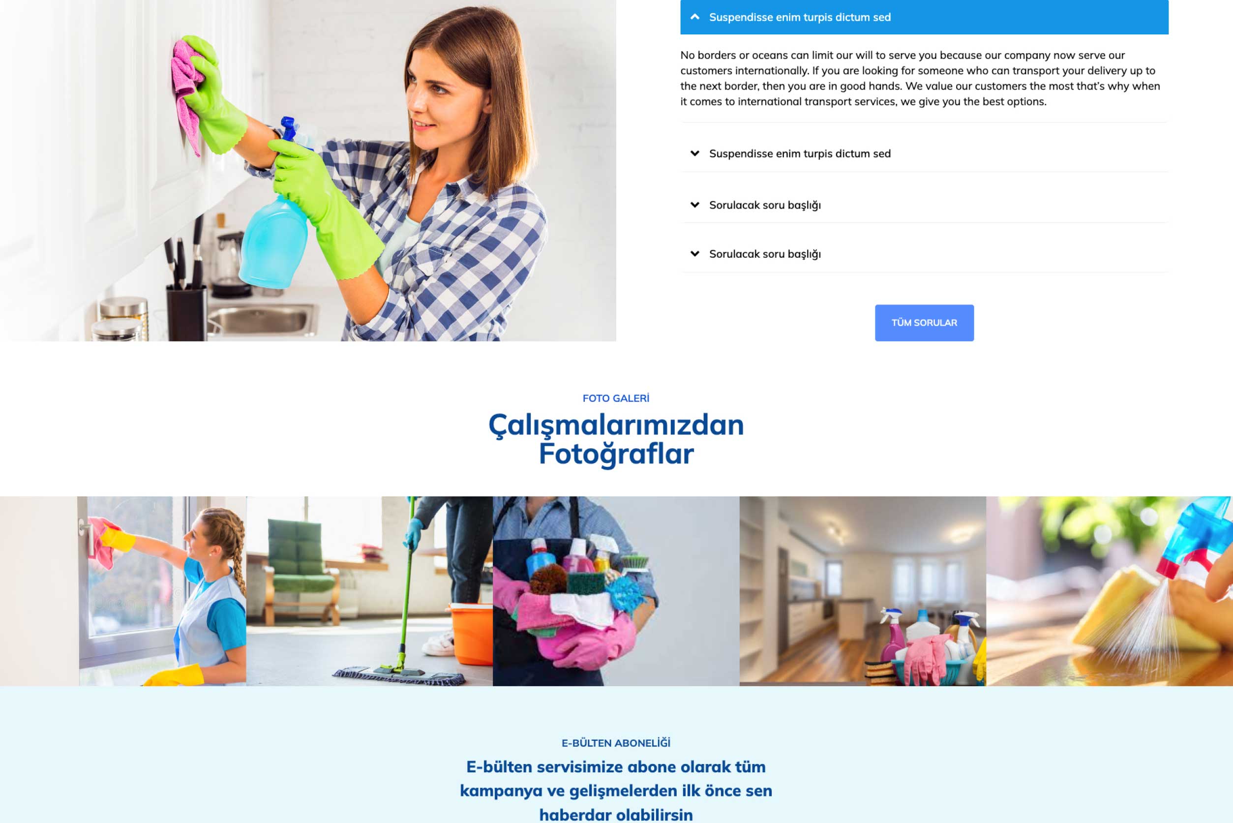 Temizlik Firması Sitesi DDV3