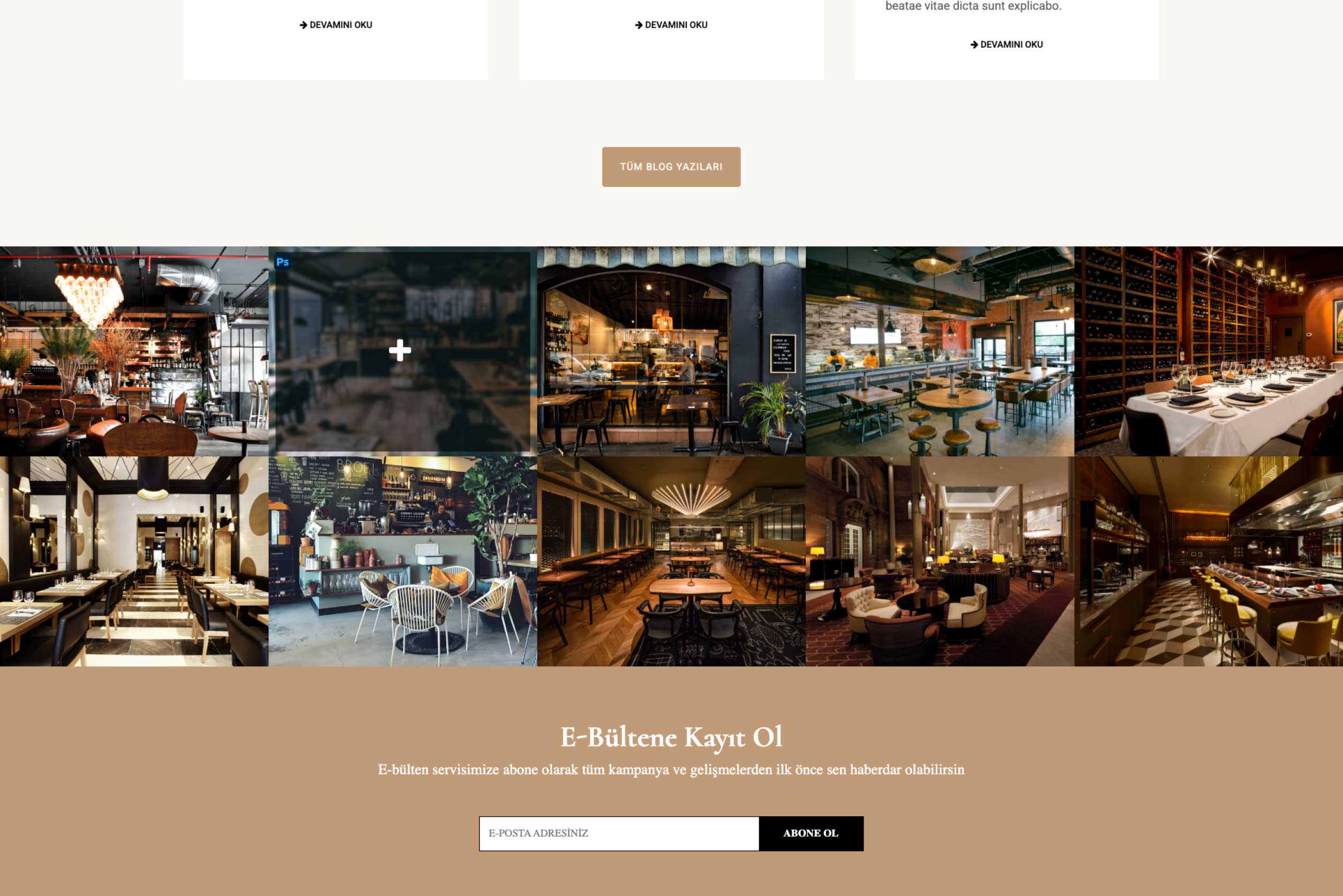 Restoran & Cafe İnternet Sitesi DDV2