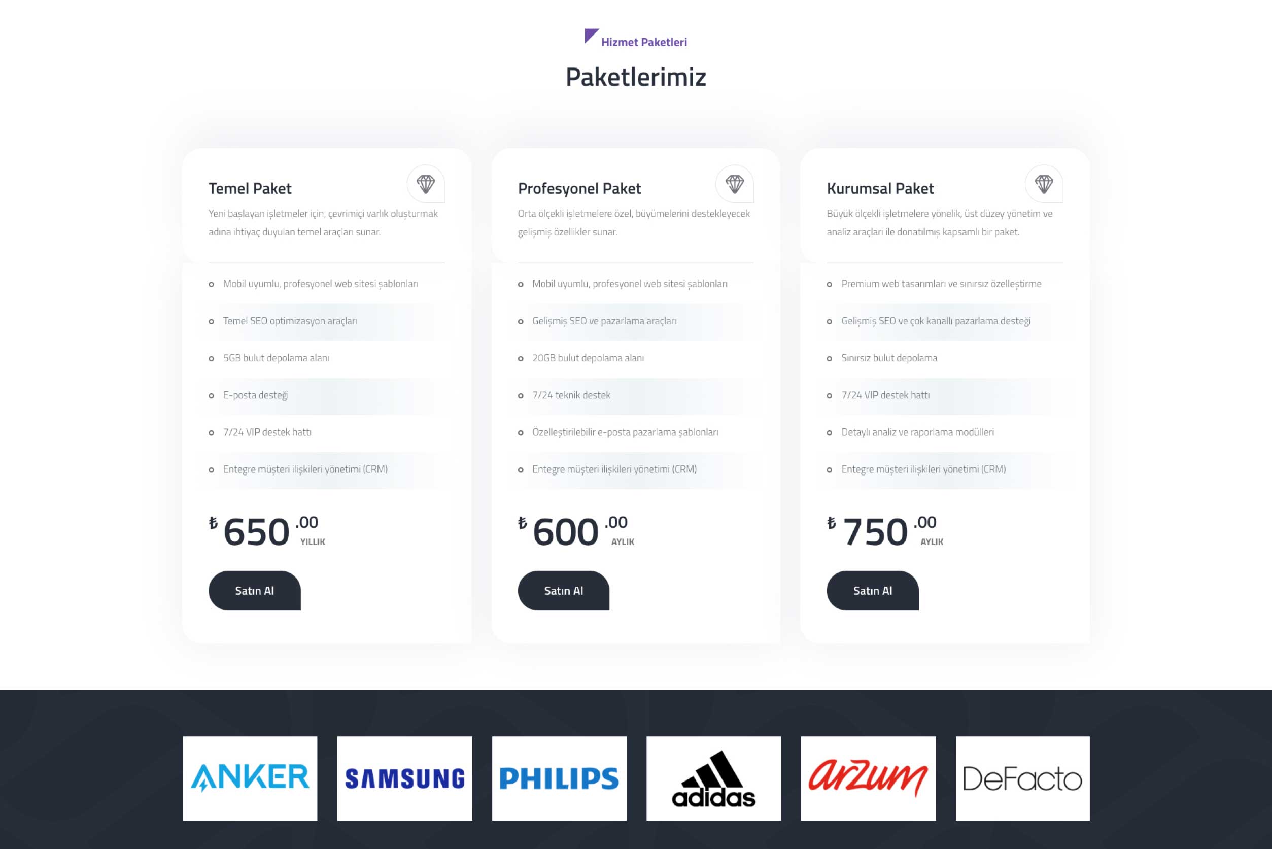 Kurumsal Firma Sitesi DBV25