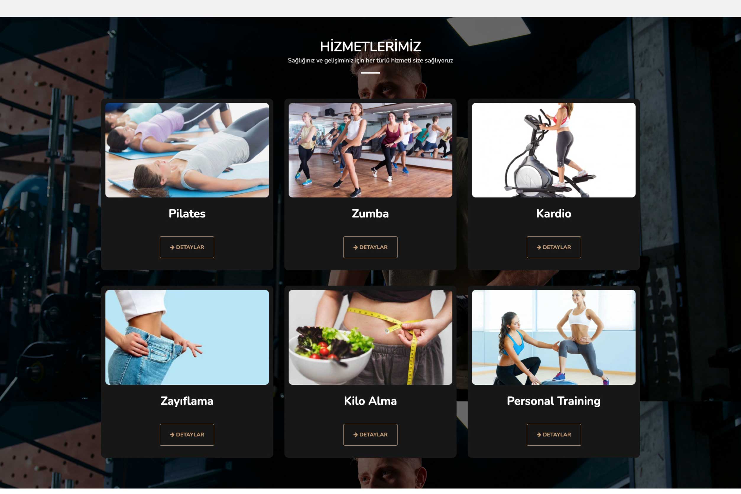 Spor Salonu İnternet Sitesi DDV1