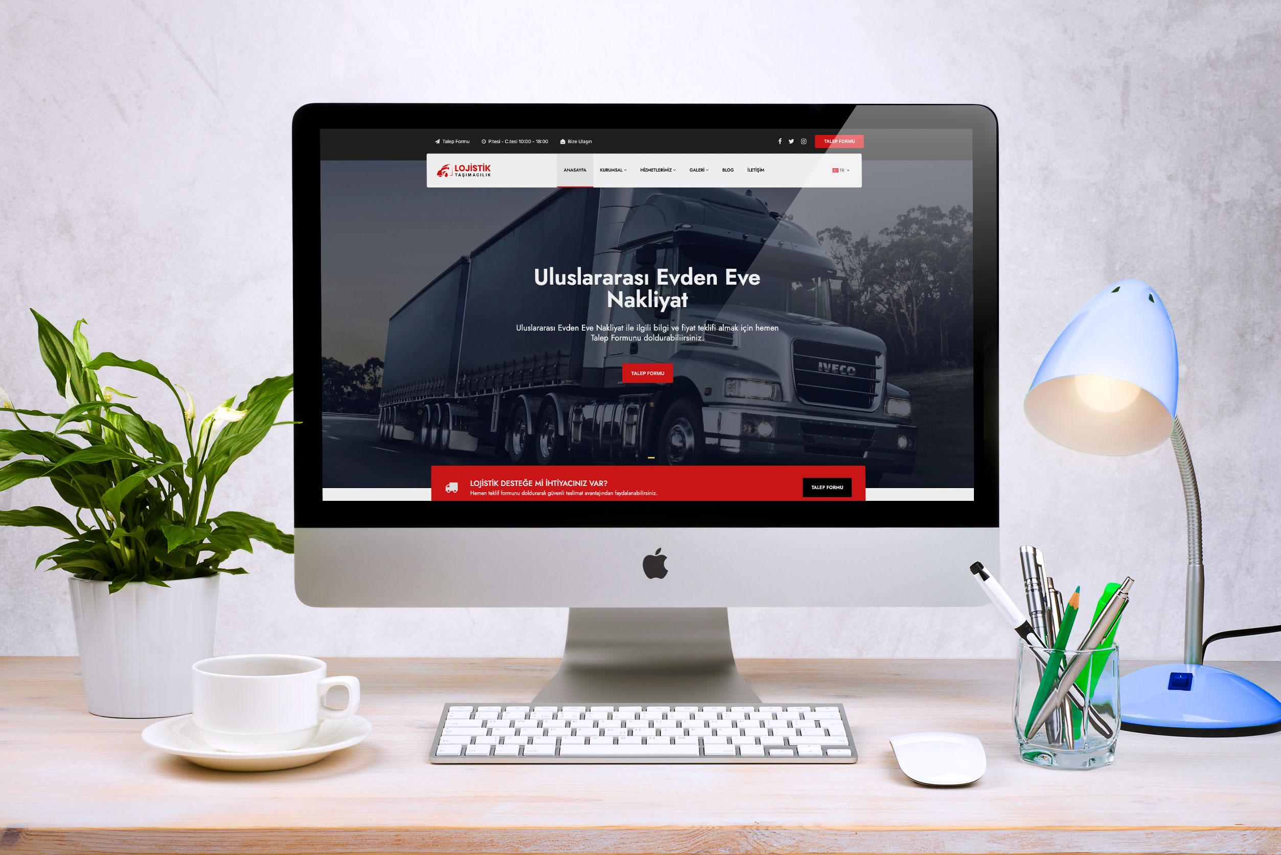 Nakliyat & Lojistik Firması İnternet Sitesi DDV1