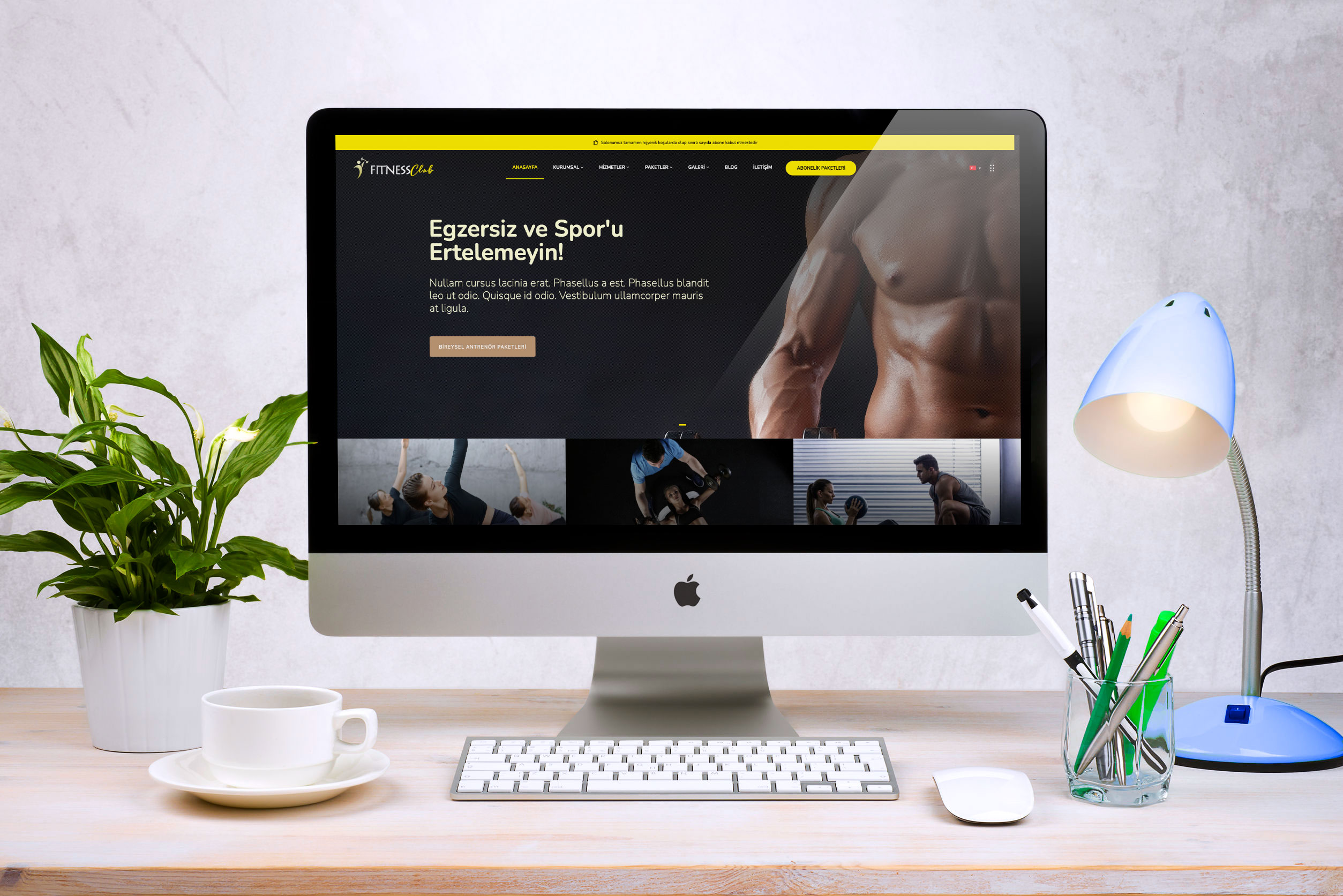 Spor Salonu İnternet Sitesi DDV1